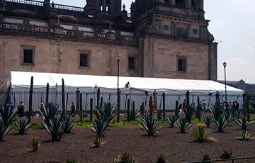 RENTA DE CARPAS GIGANTES