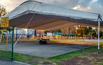 RENTA DE CARPAS GIGANTES