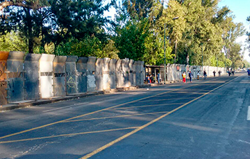 RENTA DE CARPAS GIGANTES