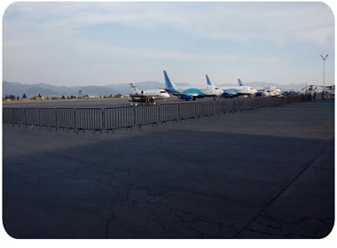 RENTA DE CARPAS GIGANTES