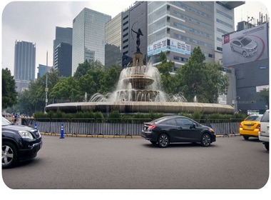 RENTA DE CARPAS GIGANTES